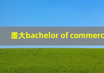 墨大bachelor of commerce honor